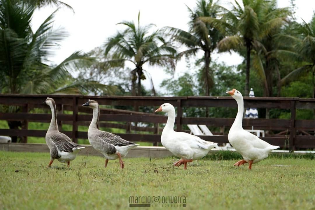 Fazenda Lagoa Azul Guest house Silva Jardim